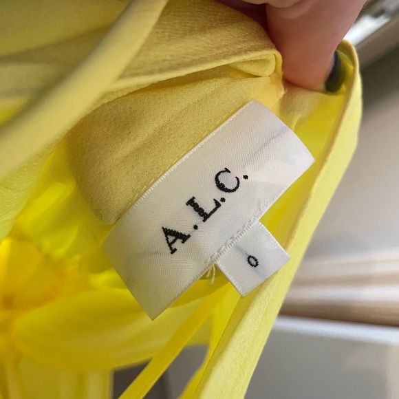 A.L.C Claudia Dress - Picture 8 of 11